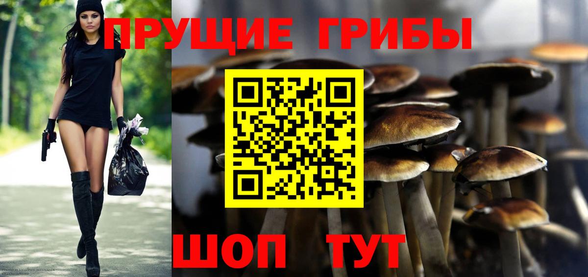 Галлюциногенные грибы мухоморы Верхняя Пышма